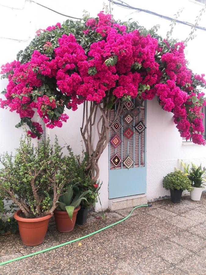 Apartamento Corazón De Conil Conil De La Frontera Exterior foto