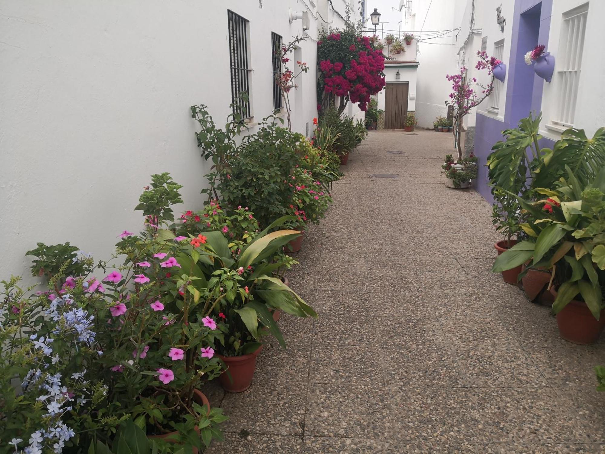 Apartamento Corazón De Conil Conil De La Frontera Exterior foto